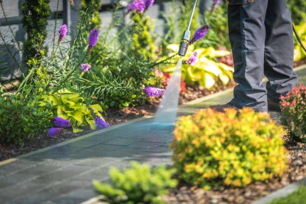 Best Sidewalk and Walkway Cleaning  in Westhampton Beach, NY